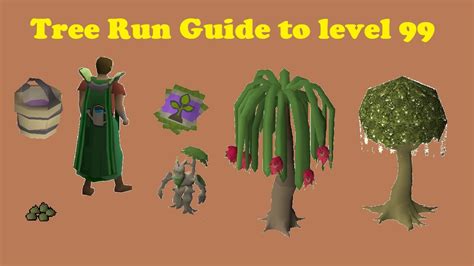 Can do these at the same time as a birdhouseseaweed run You could also do regular tree runs at early farm levels, definitely up to 65. . Osrs tree runs